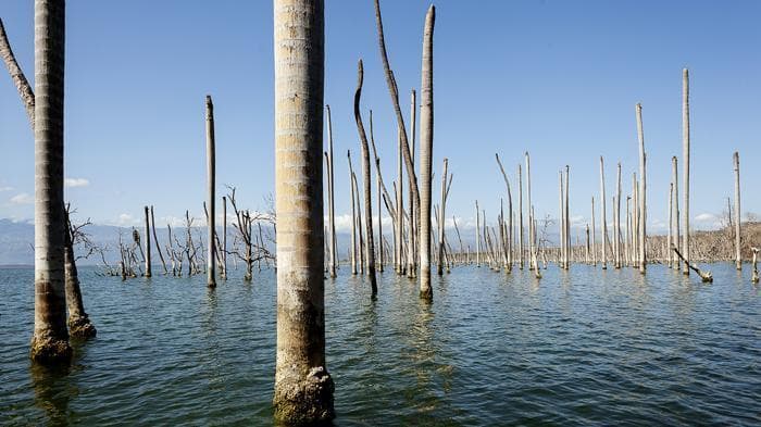 Lago Enriquillo