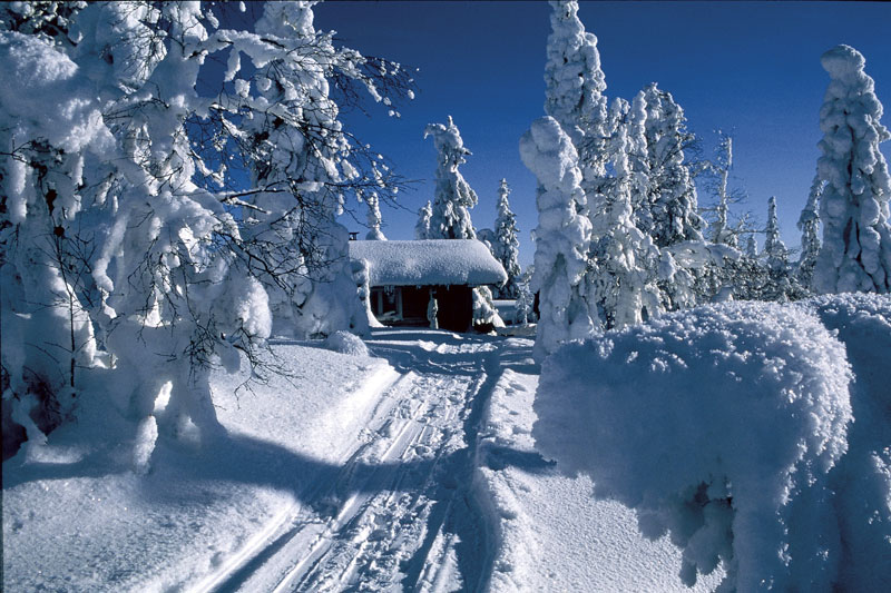 Lapponia