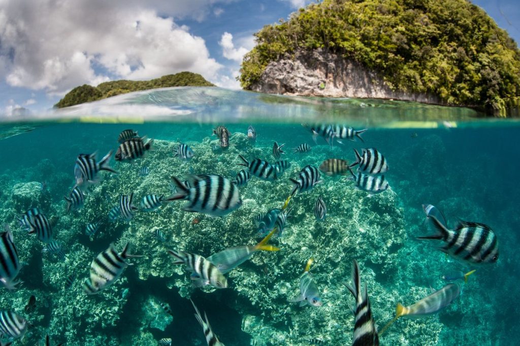 Palau