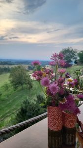 monferrato