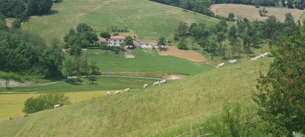 Agriturismo Montebi