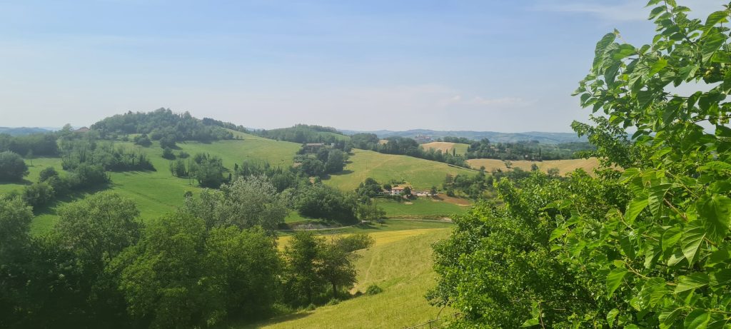 Agriturismo Montebi